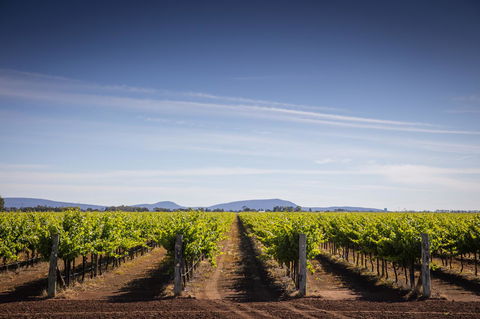 Quest Griffith - Accommodation Bookings 14