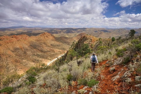 Arkaroola Wilderness Sanctuary - Accommodation Bookings 4