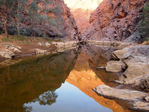 Arkaroola Wilderness Sanctuary - Accommodation Bookings 6