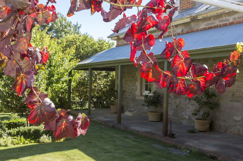 Grand Cru Estate Homestead - Accommodation Bookings 0