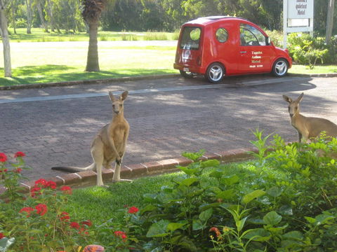 Aston Motel Yamba - Accommodation Bookings 6