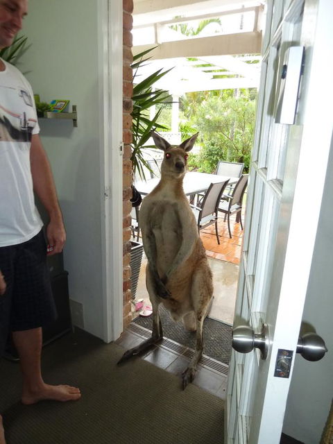 Aston Motel Yamba - Accommodation Bookings 10