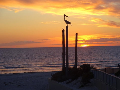 Aurora Holiday Apartment @West Beach - Accommodation Bookings 12