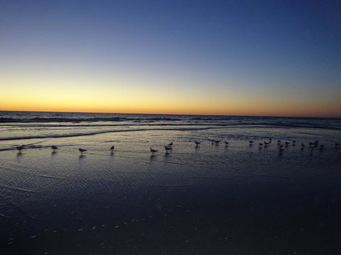 Aurora Holiday Apartment @West Beach - Accommodation Bookings 14