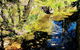 Aldgate Creek Cottage Bed And Breakfast - thumb 22