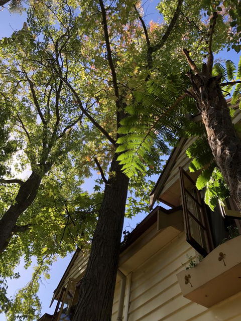 Aldgate Creek Cottage Bed And Breakfast - Accommodation Bookings 8