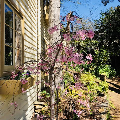 Aldgate Creek Cottage Bed And Breakfast - Accommodation Bookings 19