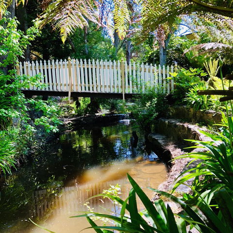 Aldgate Creek Cottage Bed And Breakfast - Accommodation Bookings 24