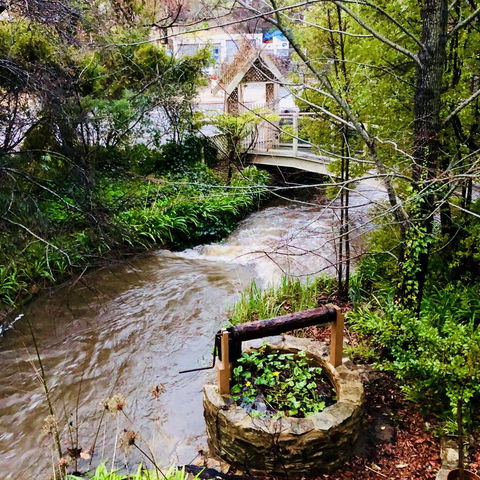 Aldgate Creek Cottage Bed And Breakfast - Accommodation Bookings 23