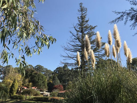 Forest Lodge Resort - Accommodation Bookings 24