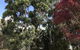Forest Lodge Resort - thumb 15