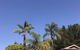 Forest Lodge Resort - thumb 0