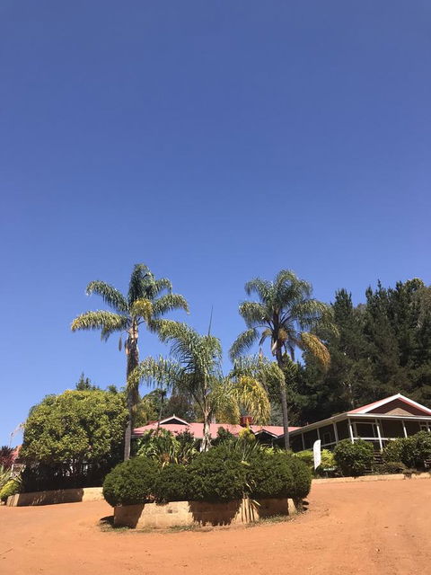 Forest Lodge Resort - Accommodation Bookings 0