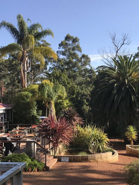 Forest Lodge Resort - Accommodation Bookings 8