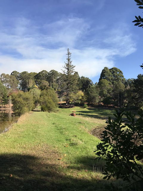 Forest Lodge Resort - Accommodation Bookings 31