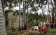 Forest Lodge Resort - thumb 11