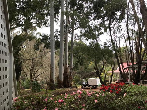 Forest Lodge Resort - Accommodation Bookings 11
