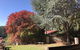 Forest Lodge Resort - thumb 42