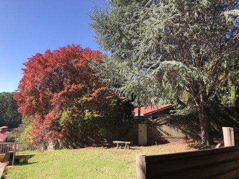 Forest Lodge Resort - Accommodation Bookings 42