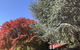 Forest Lodge Resort - thumb 35
