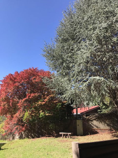 Forest Lodge Resort - Accommodation Bookings 35