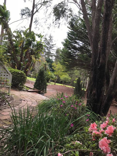 Forest Lodge Resort - Accommodation Bookings 10
