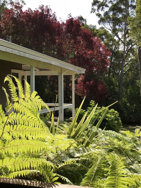 Forest Lodge Resort - Accommodation Bookings 14