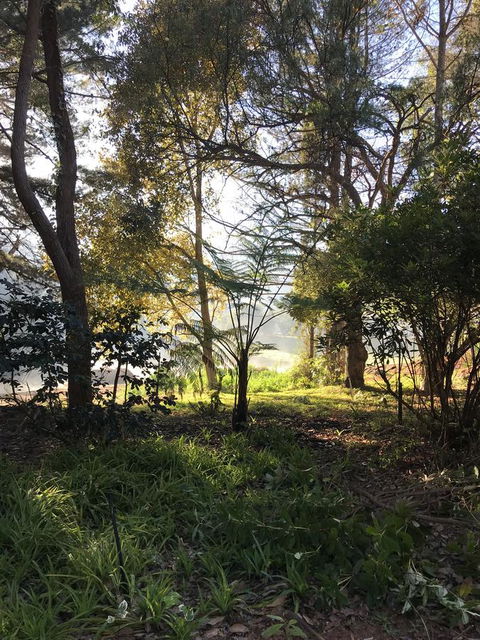 Forest Lodge Resort - Accommodation Bookings 33