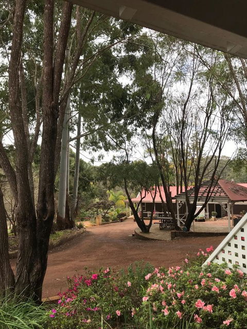 Forest Lodge Resort - Accommodation Bookings 9