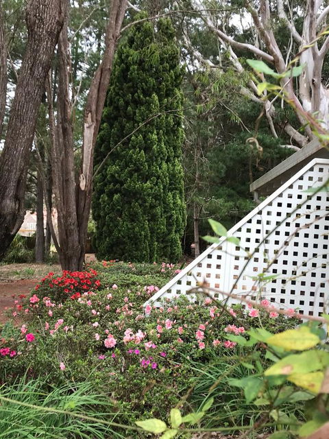 Forest Lodge Resort - Accommodation Bookings 7