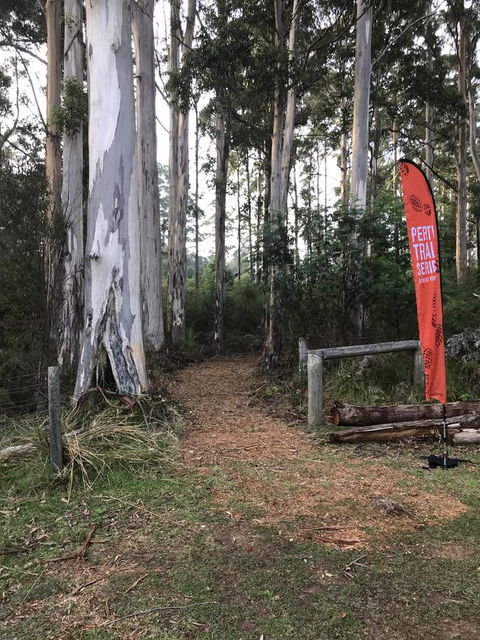 Forest Lodge Resort - Accommodation Bookings 28