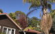Forest Lodge Resort - thumb 40