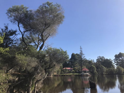 Forest Lodge Resort - Accommodation Bookings 36