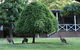 Forest Lodge Resort - thumb 1