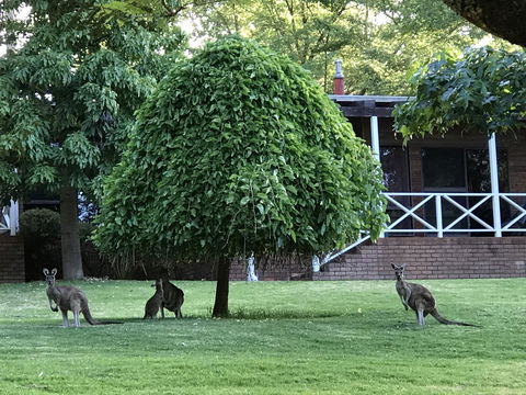 Forest Lodge Resort - Accommodation Bookings 1