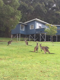 Book Denmark Accommodation Vacations Accommodation Bookings Accommodation Bookings