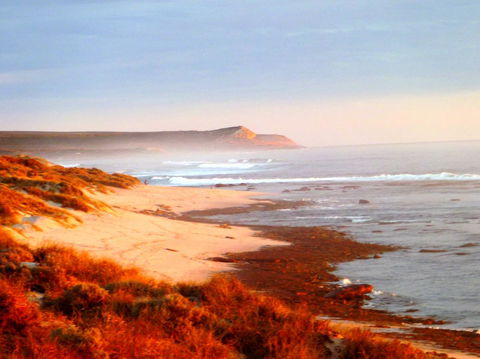 Kanga Cottage - Accommodation Bookings 26