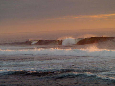 Kanga Cottage - Accommodation Bookings 42