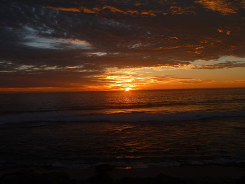 Kanga Cottage - Accommodation Bookings 41