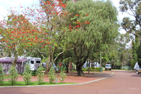 Margaret River Tourist Park - Accommodation Bookings 43