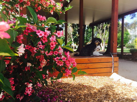 Armidale Tourist Park - Accommodation Bookings 34