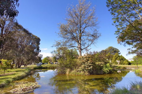 Armidale Tourist Park - Accommodation Bookings 24