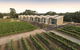 Maya Maya At Mandoon Estate - thumb 10
