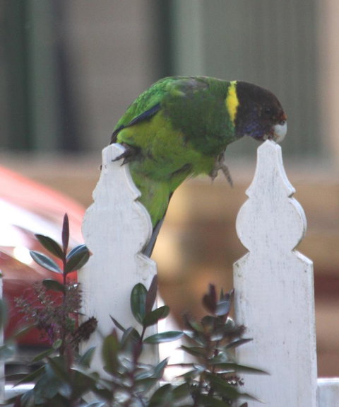 Riverview Tourist Park - Accommodation Bookings 35