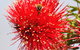 Riverview Tourist Park - thumb 36