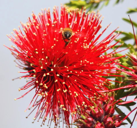 Riverview Tourist Park - Accommodation Bookings 36