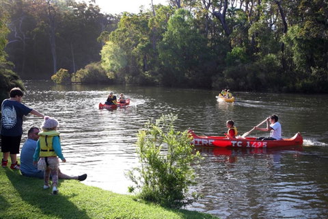Riverview Tourist Park - Accommodation Bookings 16