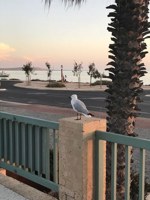 Shark Bay Seafront Apartments - Accommodation Bookings 0