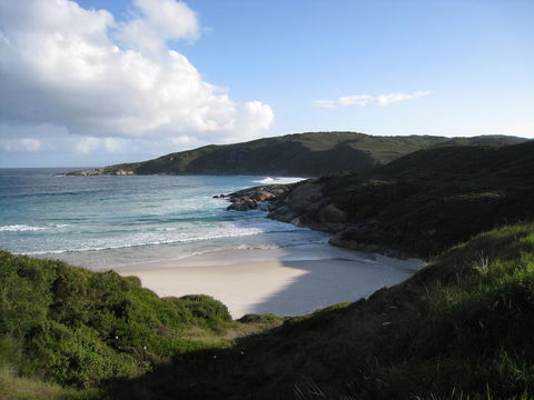 Albany Motel & Apartments - Accommodation Bookings 23