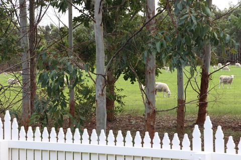 Sapphire Chalets, Augusta - Accommodation Bookings 9